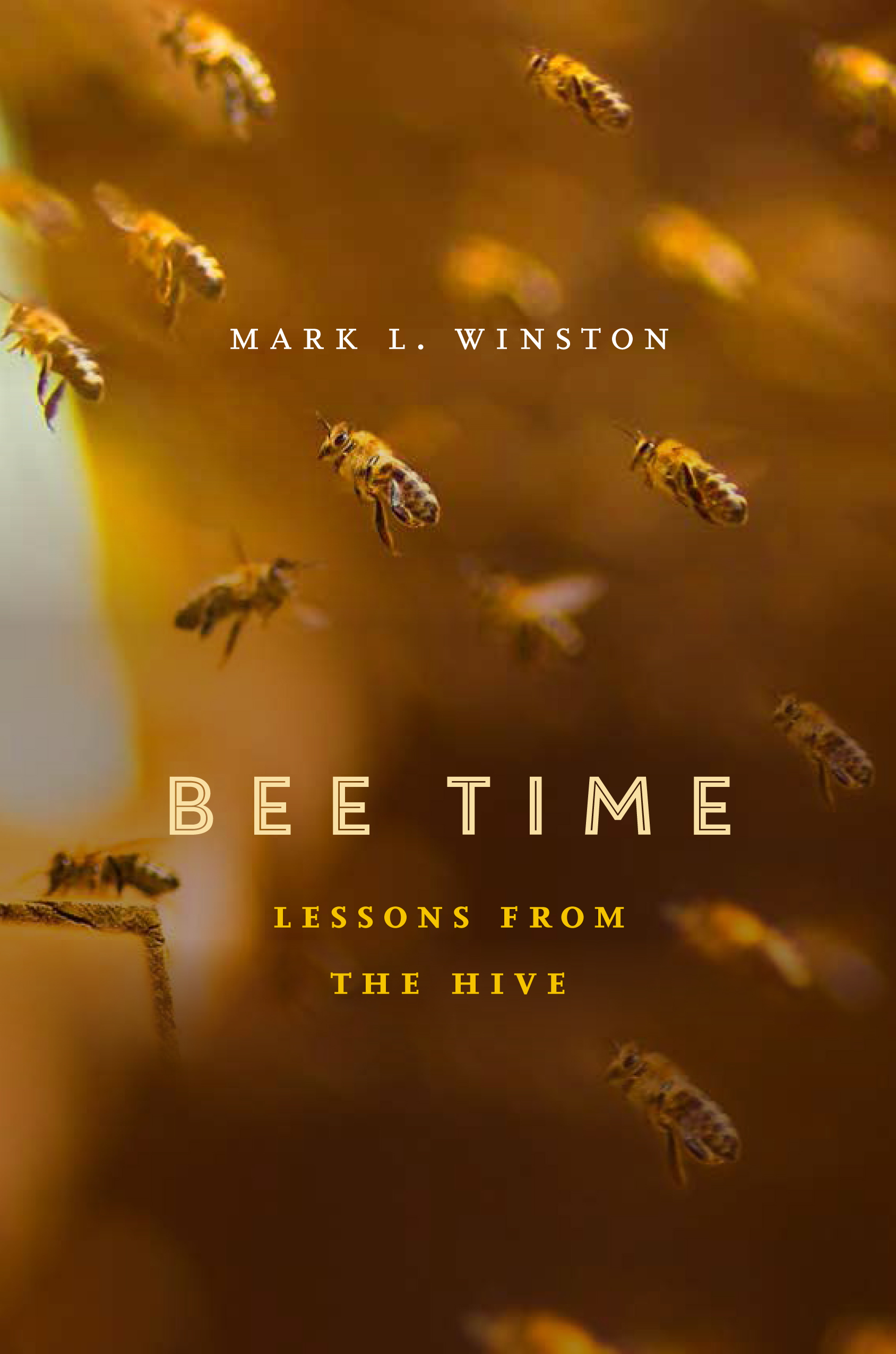 Picture Books about Bees